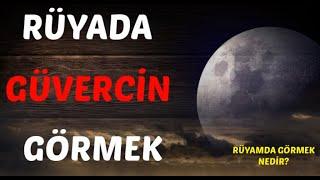 RÜYADA GÜVERCİN GÖRMEK Neye İşarettir? Neye Delalettir? Nedir?