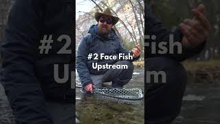 How to Catch Fish WITHOUT Killing Them — Fly Fishing Tip of the Week