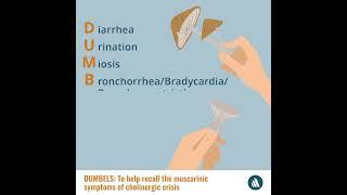 Mnemonic Device Dumbels  Merck Manual Professional Version