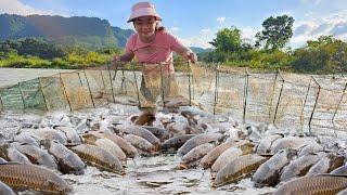 The girl went fishing during the flood season and was lucky enough to catch many big fish.