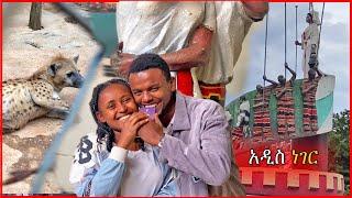 ከሜሪ ጋር አዲስ ነገር... ወላይታ ሄደን ጅብና ዘንዶ አጋጠመን  Dallol Entertainment