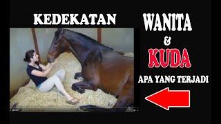 Cewe Cantik Vs Kuda jantan