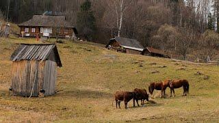 Life in The Mountains. 5 Days With a Large Family That Lives Far From Civilization