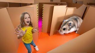 Nastya and the hamsters escape from the cardboard maze.