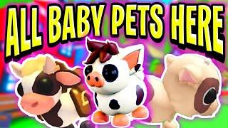 **LEAKED** EVERY BABY PET in the SUMMER FAIR 