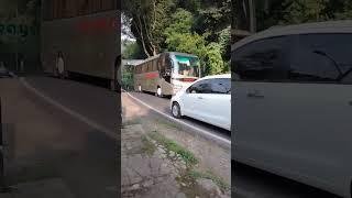 Gas poll bus wisata hiba utama #shorts #short #telolet