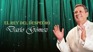 Darío Gómez - Amiga Mía Official Audio