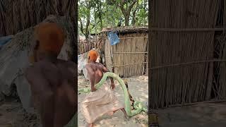 Viral King Cobra Fake Snake Prank On 2024  Sagor Bhuyan #snakeprank  #funny #prank