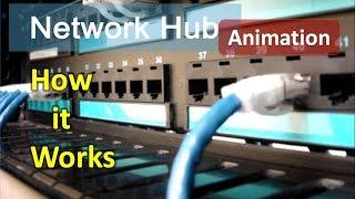 Animation of working of Hub  How hub works