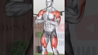 Chest Workout At Home  #5 #exercisemotivation