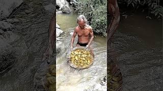 kakek tua inipenemu emas di hutandi tambang secara manual #gold #goldhunter #mencariemas