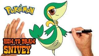 How to Draw Pokemon  Snivy