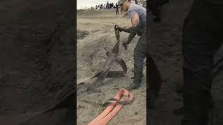 Rescate de 2 elefantes atrapados en el barro estas situaciones se producen por causa de la sequía.