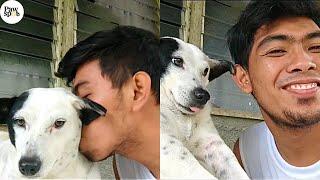 Kiss Your Dog On The Head And Record Their Reactions
