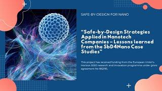 Safe-by-Design Strategies Applied in Nanotech Companies – Lessons learned from SbD4Nano Case Studies