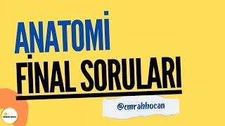 AUZEF ANATOMİ FİNAL ÇIKMIŞ SORULARI #anatomi #auzef