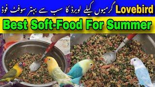 Best Soft Food For Summer For Lovebirds