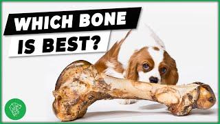 Dog bones Which Are Safe For Dogs?  Ultimate Pet Vet