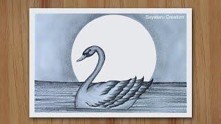 How to draw a Swan Swimming in Water step by step  Duck Pencil Sketch for Beginners