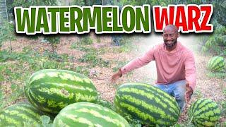 #Watermelonwarz  Watermelon Plant Tour Watermelon Competition