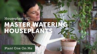 Houseplant 101 How to Water Houseplants Properly — Ep 120