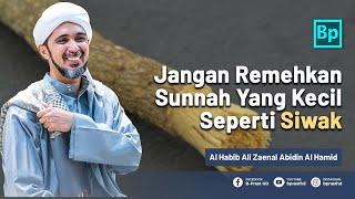 Jangan Remehkan Sunnah Nabi Yang Kecil Seperti Siwak  Habib Ali Zaenal Abidin Al Hamid