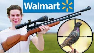 Hunting with Walmarts CHEAPEST PCP Air Rifle