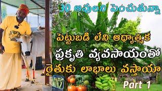 30 ఆవులను పెంచుతు ప్రకృతివ్యవసాయం  natural farming 30cow dairy farming