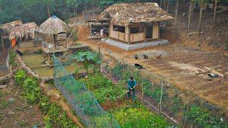TIMELAPSE 3 Years of Building a Farm in the Forest P2 Construction - Gardening 