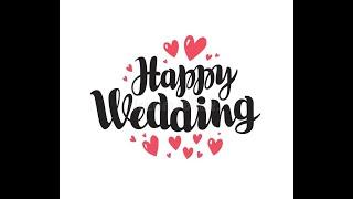 Vaishnavi Weds Karthik  Wedding Moments