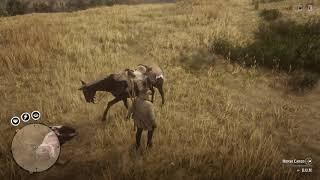 Red Dead Redemption 2 Animal de-spawn post beta example 4