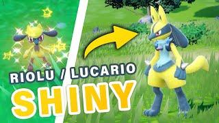 How to get Shiny a Riolu  Lucario ► Pokemon Scarlet & Violet