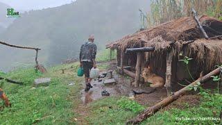 Most Relaxing Nepali Mountain Village Life  Daily Activities of Hari Rokaya Village People  Rainy