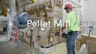 Pellet Mill