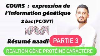 Partie 3  Résumé zwin Relation gene protéine caractère Mutations باش ضمن 4 نقط فالوطني