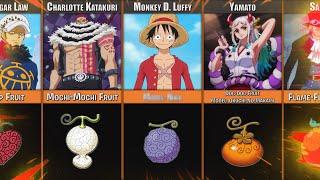 ONE PIECE All Shown Devil Fruits  Image of Devil Fruits