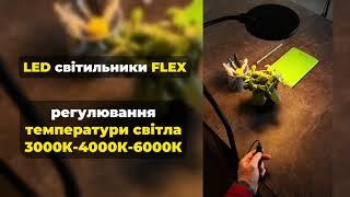 Невдовзі в наявності FLEX VIOLUX Настільні LED світильники 10W