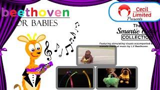 Beethoven for Babies 2020