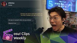 BEST SKIN OF THE YEAR  osu Clips Weekly