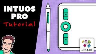 Wacom INTUOS PRO Small Tutorial 2019 Model