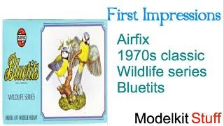 First impressions Classic Airfix 1970s wildlife series Bluetits