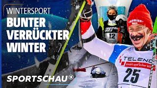 Die kuriosen Highlights der Wintersport-Saison  Sportschau