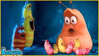 LARVA  PROTECT  CARTOON MOVIE FOR LIFE THE BEST OF CARTOON  HILARIOUS CARTOON COMPILATION