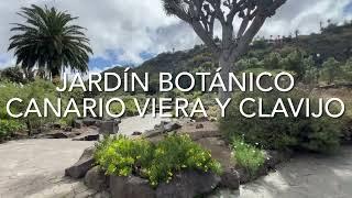 Jardín Botánico Canario Viera y Clavijo Gran Canaria 4K