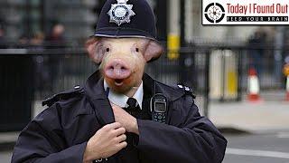 Why Do People Sometimes Call Police Officers Pigs?
