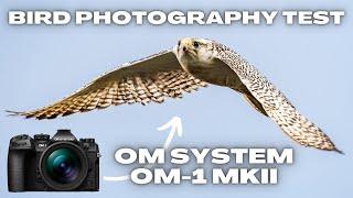 Testing the OM System OM-1 MkII for Flying Bird Photography