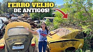 FERRO VELHO COM MUITOS CARROS ANTIGOS