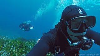 Sidemount Essentials - The Movie D