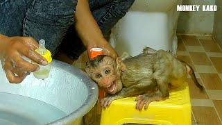 Cute Monkey Baby Luna Crying Very Loudly Angry Mom Take Her Lovely Milk Bottle While Taking Bath