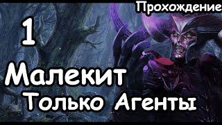 Малекит. Темные Эльфы. Только Агенты Легенда. ч.1 Total War Warhammer 3.